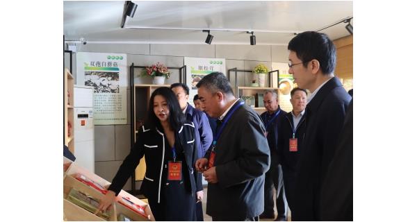 自治區水利廳黨組書記、廳長楊焱一行來到公司食用菌基地調研，了解現代特色農業發展情況