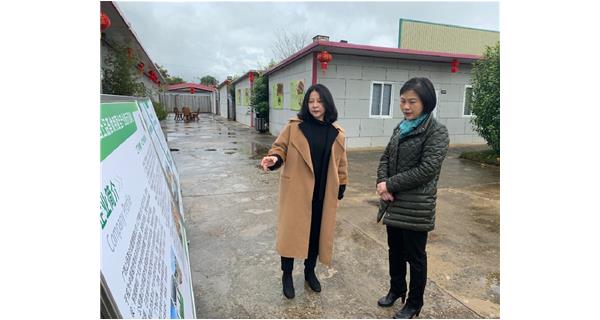 梧州市副市長蘇穎到上品薈食用菌基地調研
