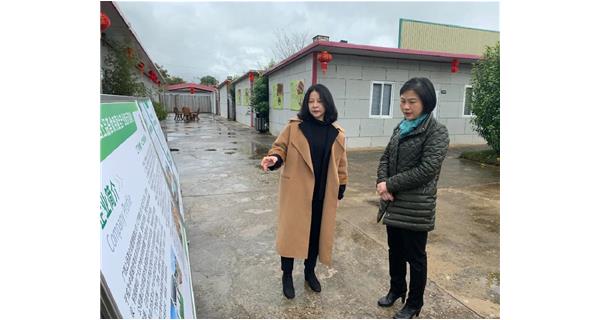2022年2月21日下午，梧州市副市長蘇穎、梧州市婦聯主席易潔、梧州市政府副秘書長劉念等一行到公司食用菌基地調研。