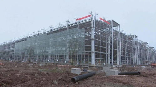 龍興園區(qū)四大重點項目加速推進，吉利、三一重工引領建設新高潮