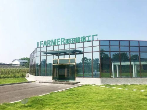 陜西旭田植物工廠在渝成功投產，總投資約800萬助力現代農業發展